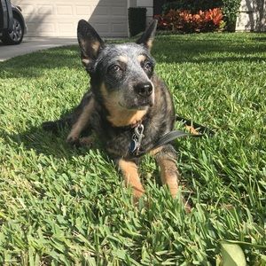 Meet your Posher, Mary